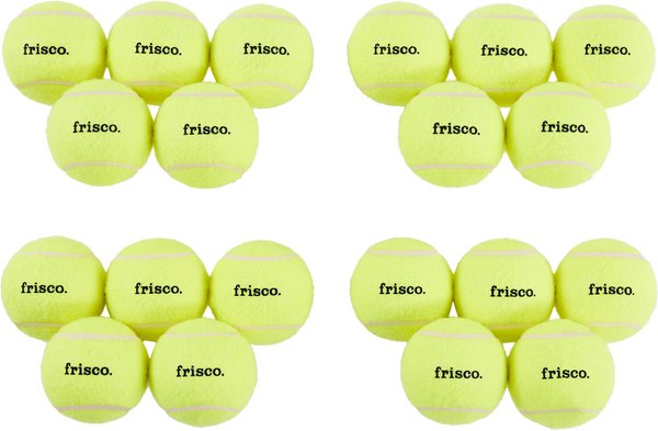 Frisco Fetch Squeaking Tennis Ball Dog Toy