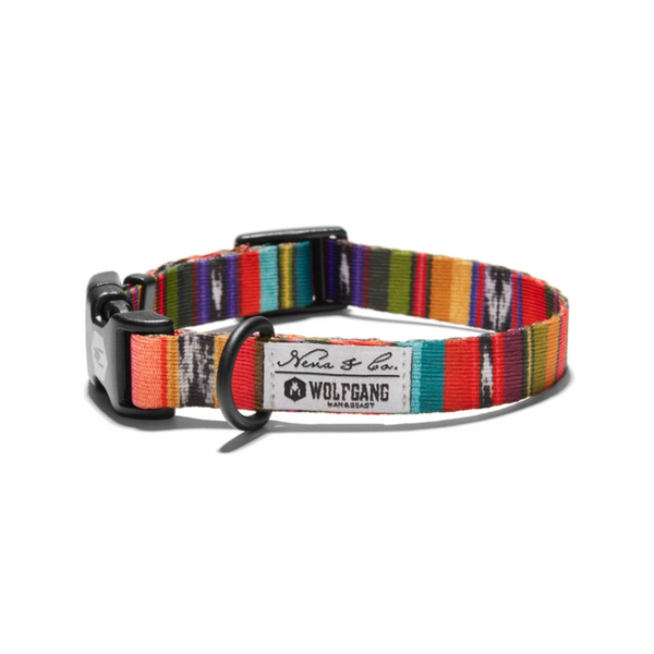 Wolfgang Antigua Collar for Dogs