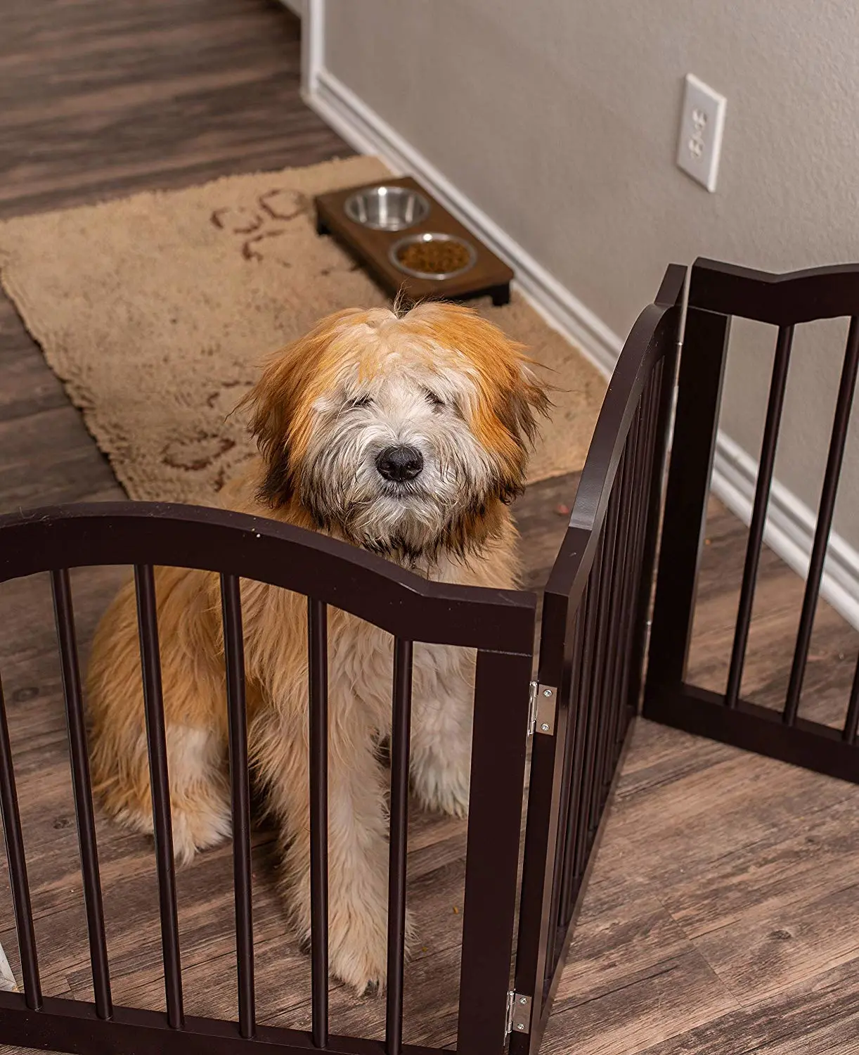 Internet's Best Pet Gate with Arched Top - 3 Panel - 24