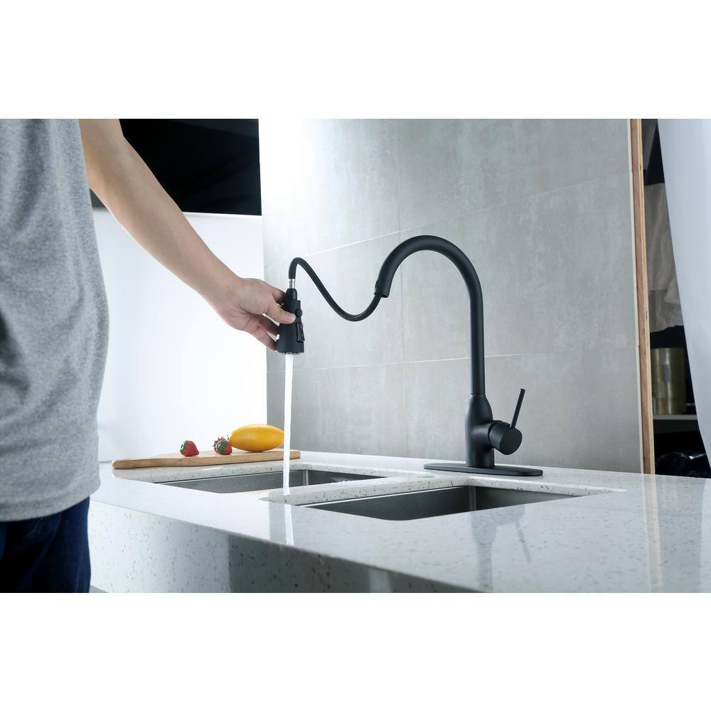 Runfine Single-Handle Pull-Down Sprayer Kitchen Faucet in Matte Black RFF10E-BLK