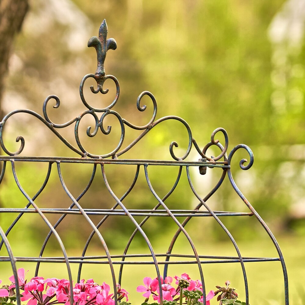 Iron Cage Plant Stand  \