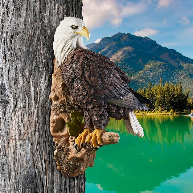 Design Toscano American Bald Eagle Bird Of Prey Wall Sculpture Multicolored