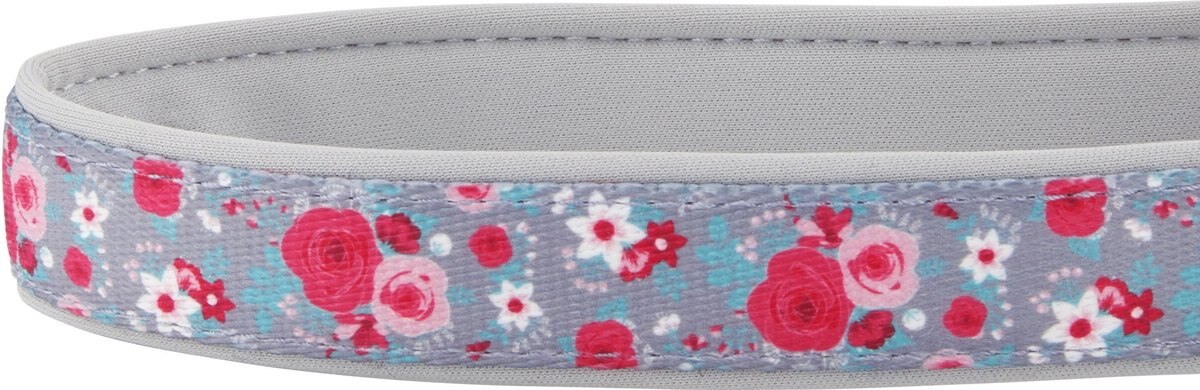 Frisco Patterned Neoprene Dog Collar