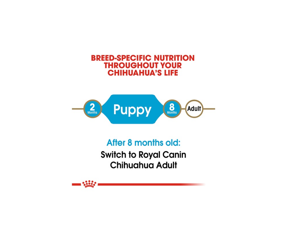 Royal Canin - Chihuahua Puppy Dry Dog Food