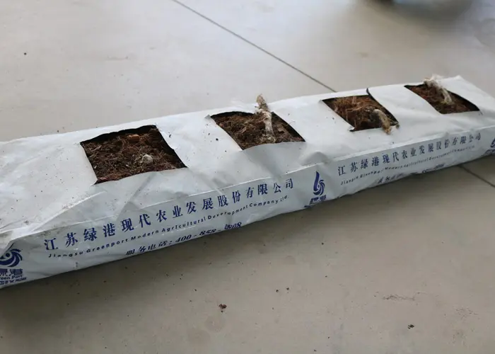 Factory direct sales Economic and durable Garden Supplies  for strawberry grow bags