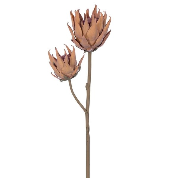 Vickerman 26 Light Orange Protea Stem 2/Bag. Features two protea heads.