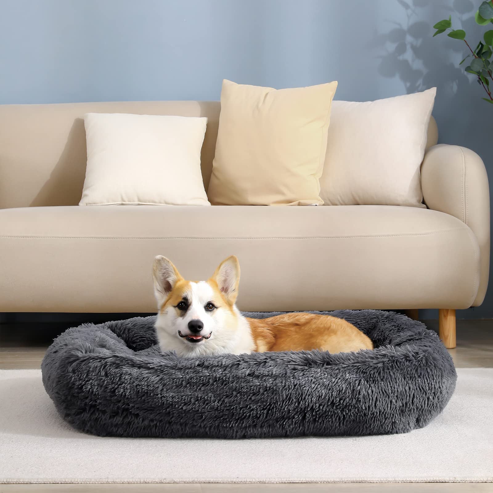 Rectangle Plush Dog Bed Cat Beds for Small Dogs，Washable Large Pet Beds Large（32x28x7in，Under 45 lbs）， Darkgrey