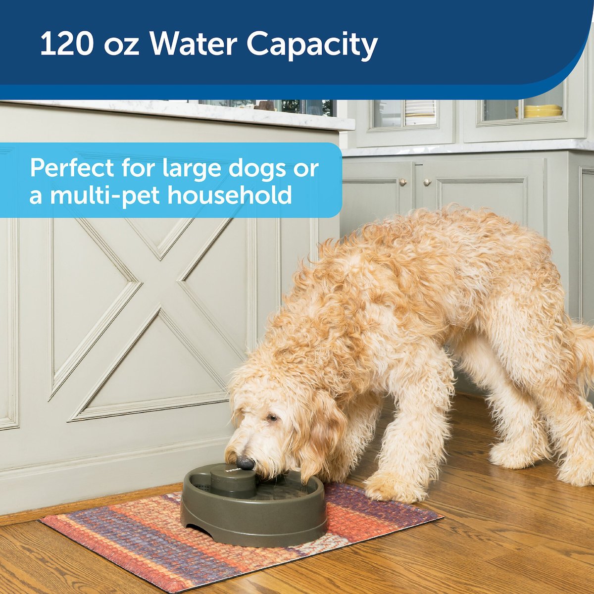 PetSafe Current Circulating Pet Fountain