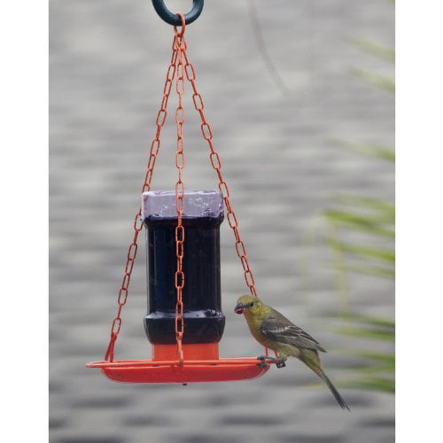 Perky-Pet Oriole Jelly Wild Bird Feeder - 32 oz Capacity