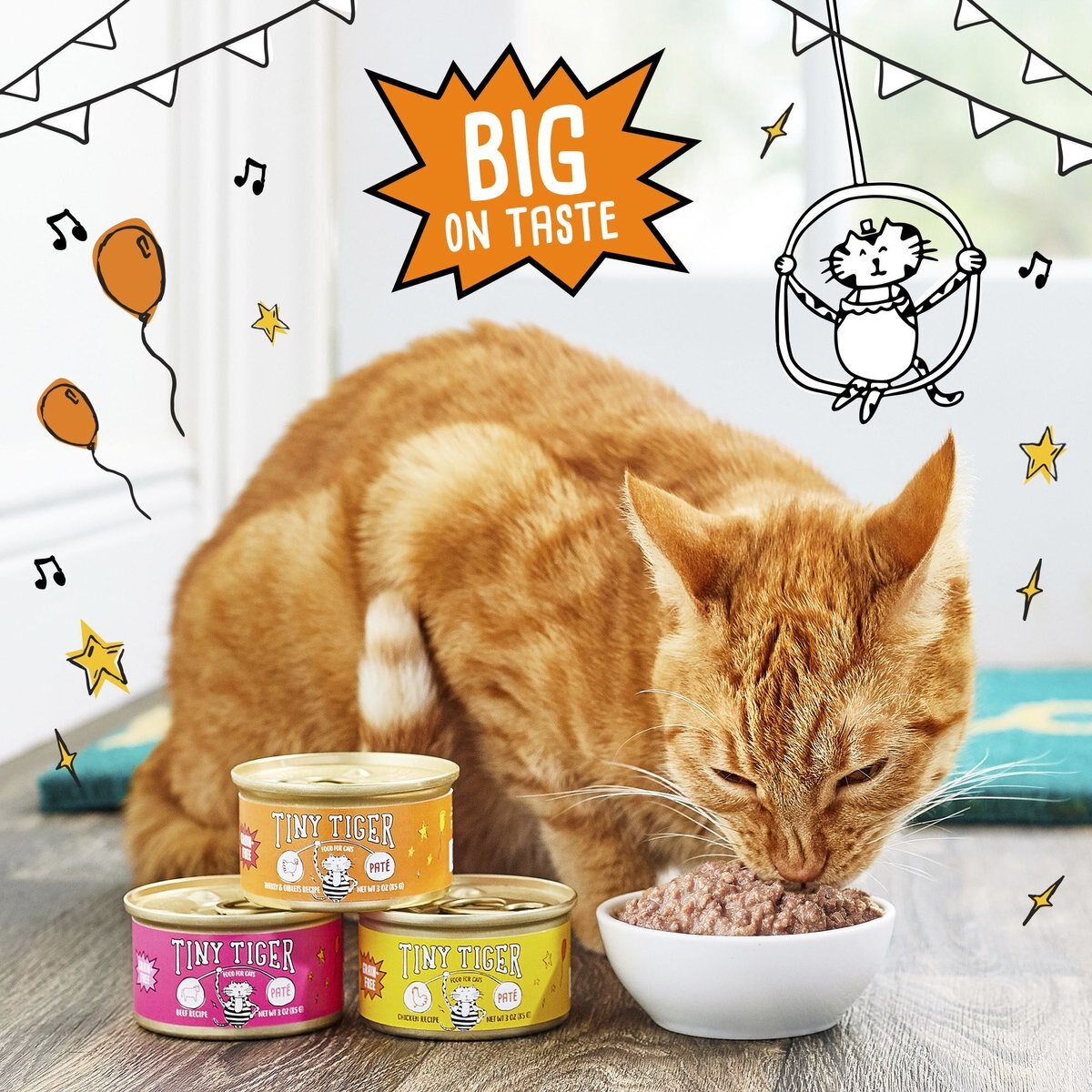 Tiny Tiger Pate Beef Recipe Grain-Free Canned Cat Food