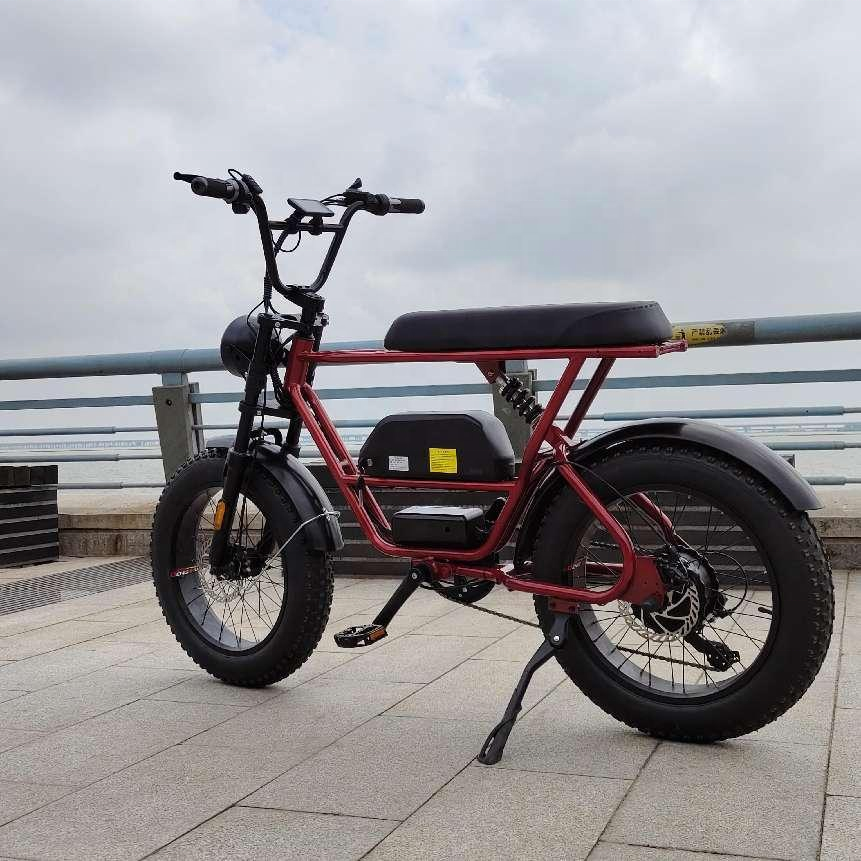 aitaier 48V 350W 500W 750W Motor Full Suspension Retro Vintage E Bike Ebike Dirt Mountain Fat Tire Bicycle Electric Bike