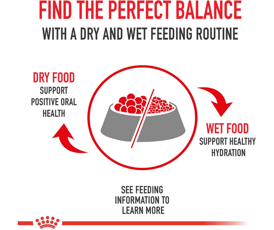 Royal Canin - Sensitive Digestion Dry Cat Food