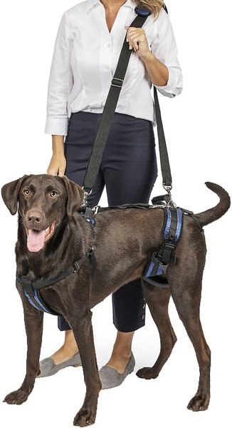 PetSafe CareLift Handicapped Support Dog Harness