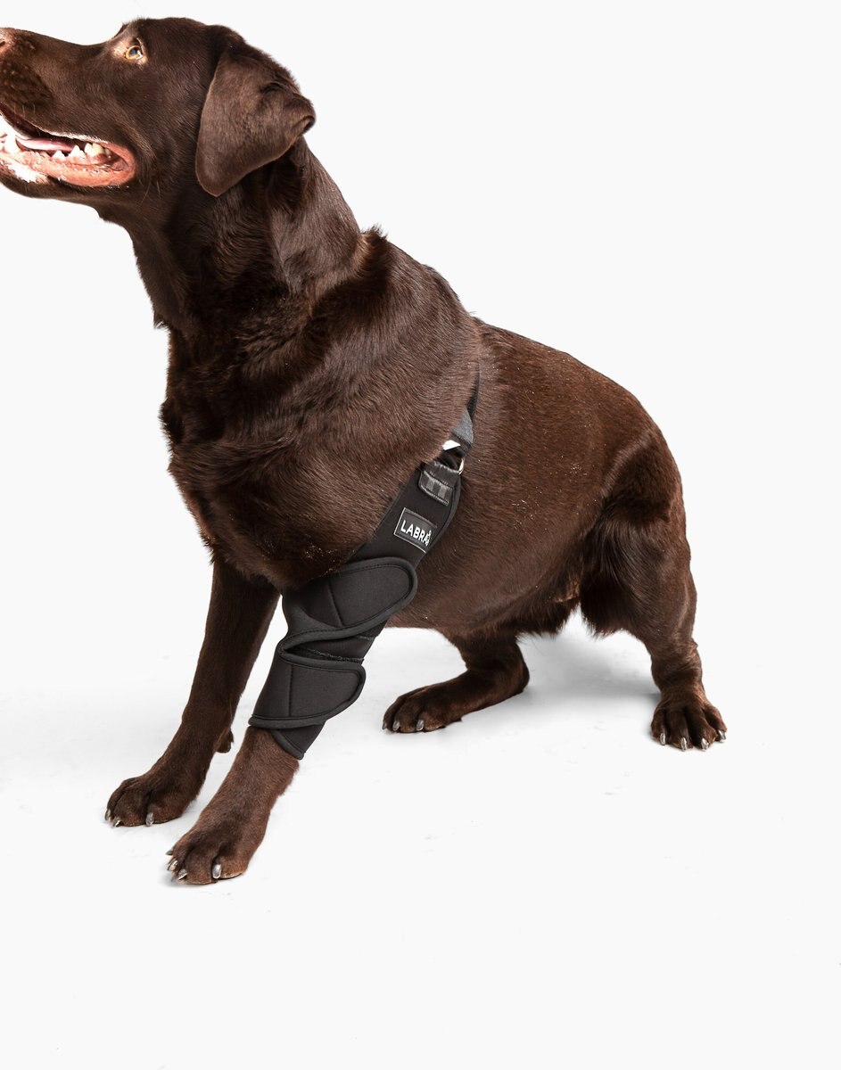 Labra Canine Shoulder Elbow Brace Left Leg Dog Wrap