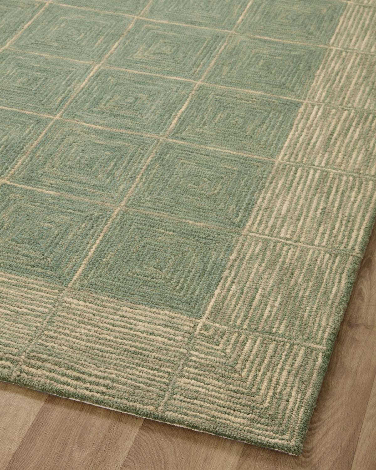 Francis Hooked Green/Natural Rug