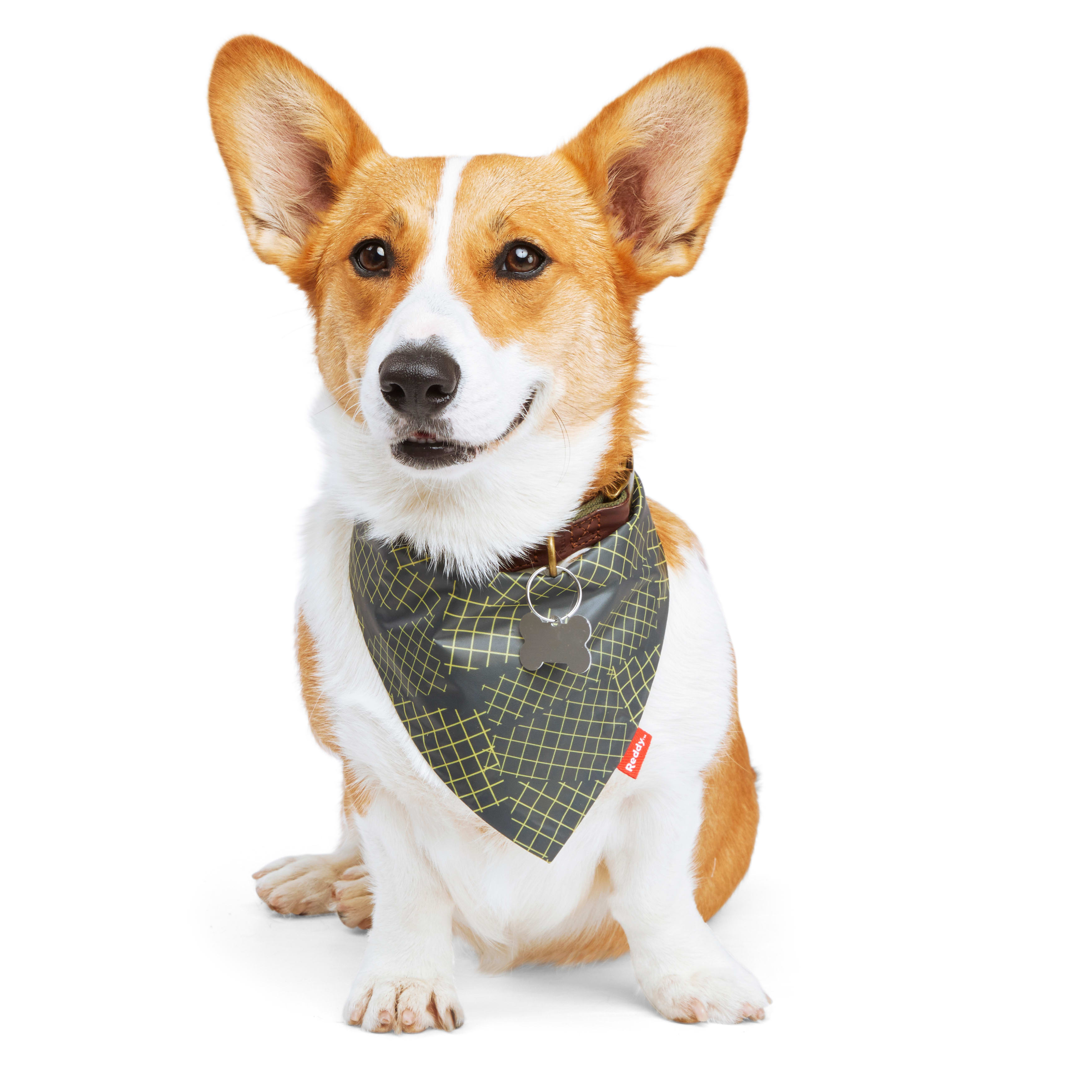 Reddy Green Reversible Dog Bandana， X-Small/Small