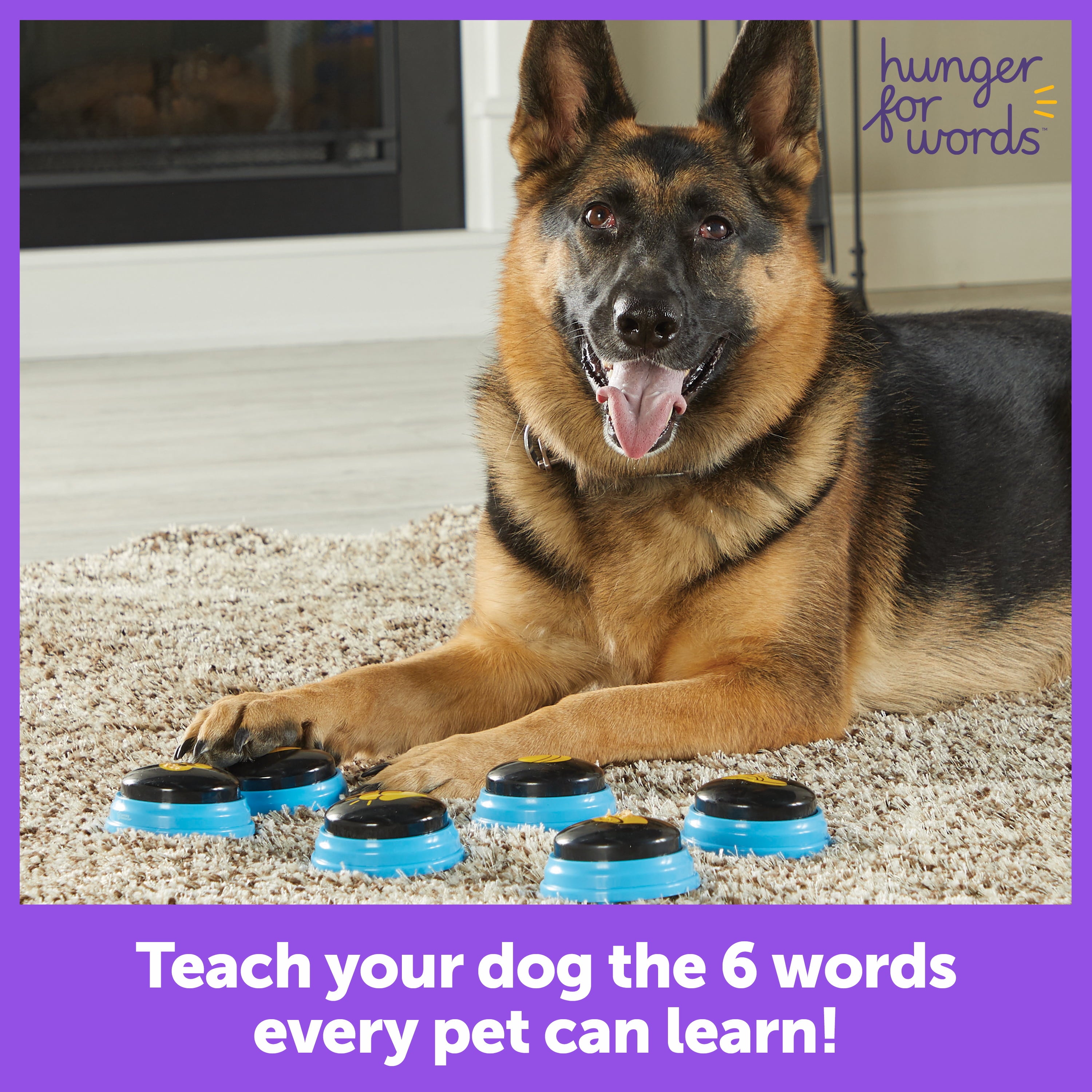 Hunger for Words Talking Pet Essential Words 6-Piece Buttons for Dog Communication， Dog Toys