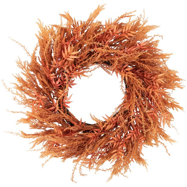 Northlight Peachy Pampas Grass Artificial Fall Harvest Wreath， 24-inch - Unlit