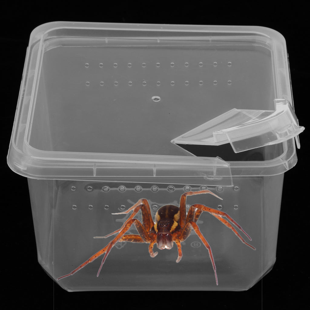 1x Spider Habitat Feeding Box Cage Case Container Tank 12x12x7cm