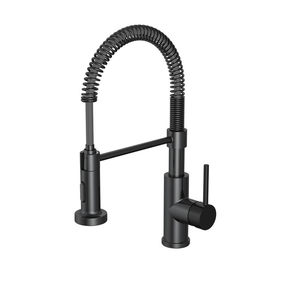 PRIVATE BRAND UNBRANDED Cartway Single-Handle Spring Pull-Down Sprayer Kitchen Faucet in Matte Black D005O