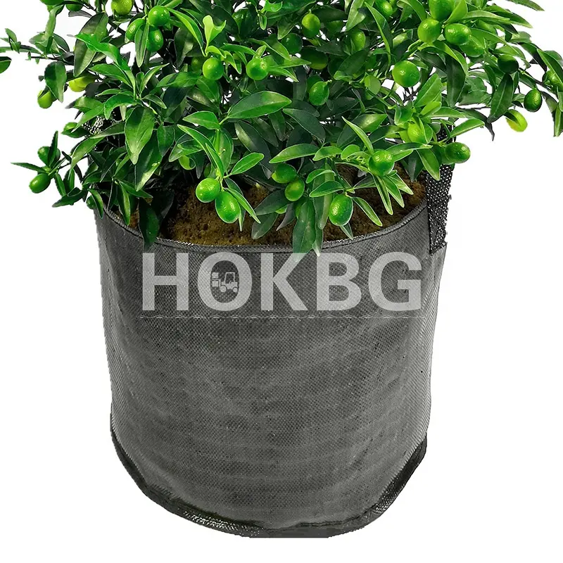 HOKBG 12 gallons Garden flower planting Bag PP material vegetables grow bags shrubs planter grow bags