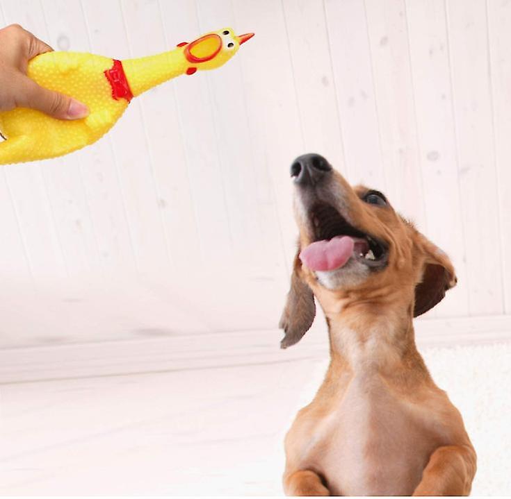 Screaming Chicken Dog Toys，yellow Rubber Squaking Chicken Toy Novelty And Durable Rubber Chicken For Dogs