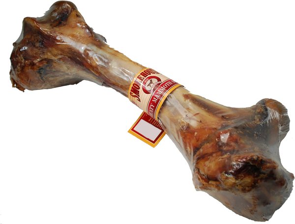 Smokehouse USA Meaty Mammoth Femur Bone Dog Treats