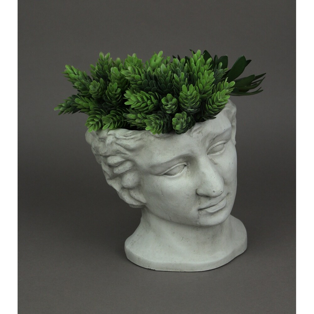 Resin Classic Greek Statue Head Planter Flower Pot Plant Vase   7 X 7.25 X 7 inches