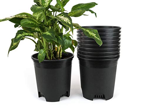 1.5 Gallon Nursery Pot Plastic Planters for Outdoor Indoor Plants Gardening Flower Pots 10-Pack Plant Pots with Drainage Holes