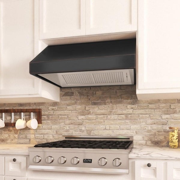 ZLINE Designer Series Under Cabinet Range Hood