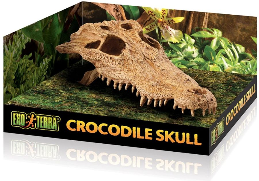 Exo Terra Exo Terra Terrarium Crocodile Skull Decoration 1 count