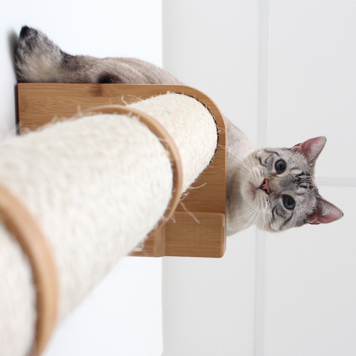 CatastrophiCreations Sisal Cat Climbing Pole