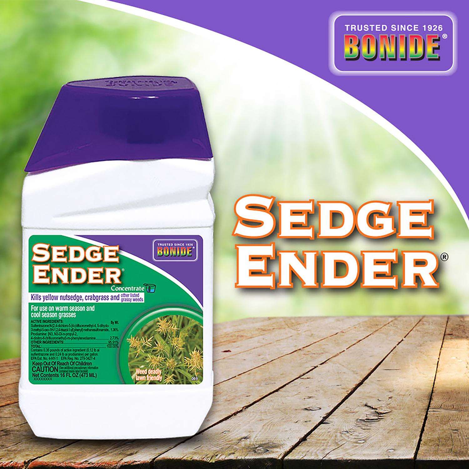 Bonide Sedge Ender Nutsedge Killer Concentrate 16 oz