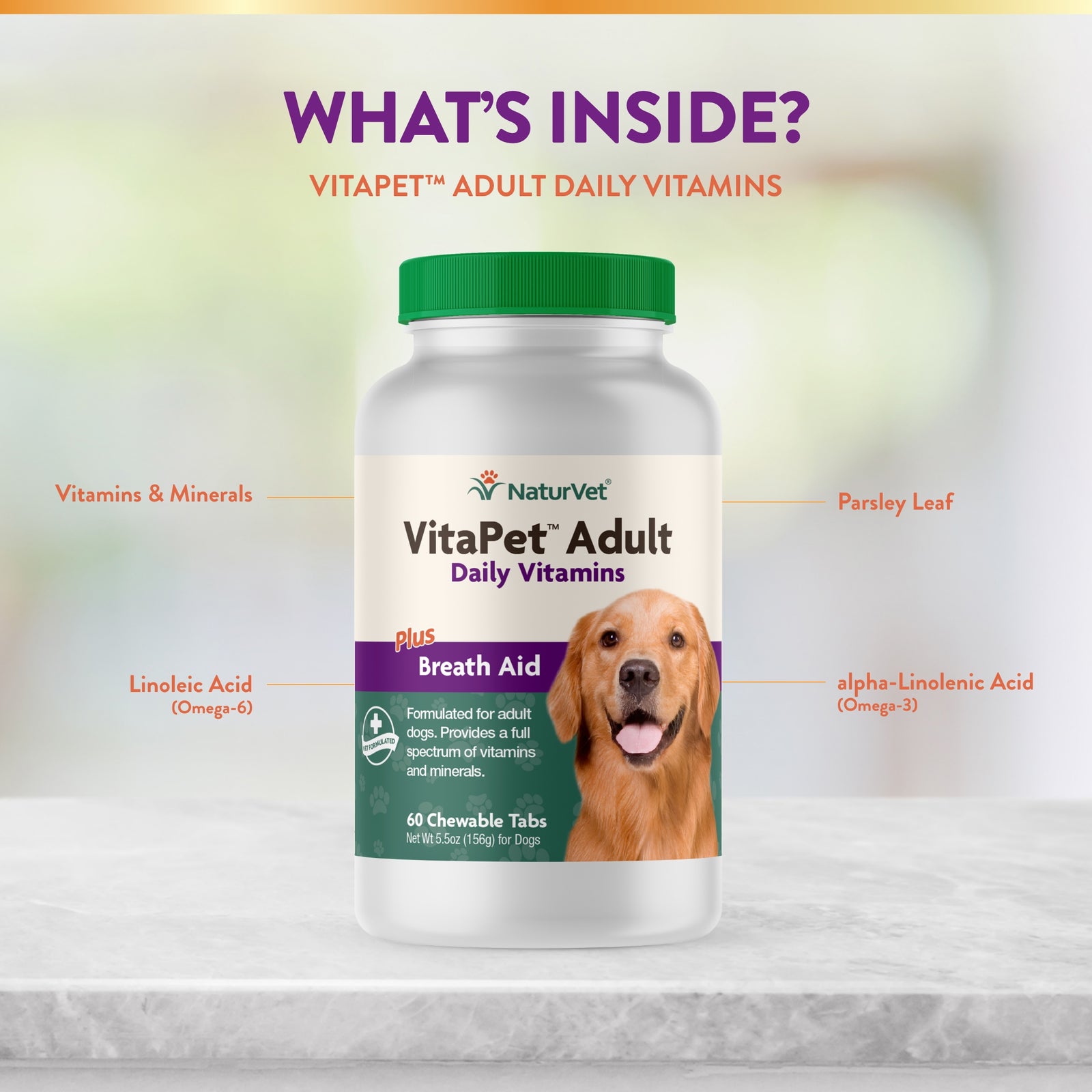 NaturVet VitaPet Adult Daily Vitamins Plus Breath Aid for Dogs， 60 ct