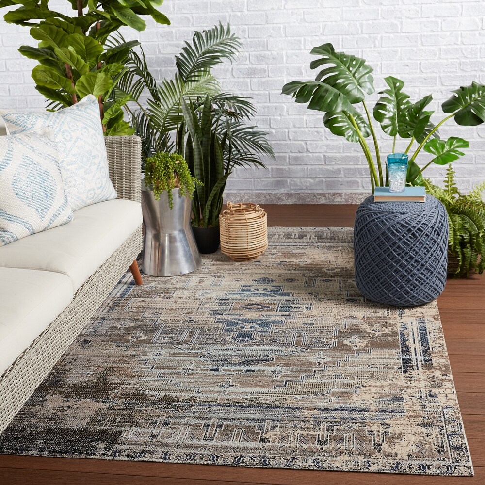 Cicero Indoor and Outdoor Medallion Area Rug