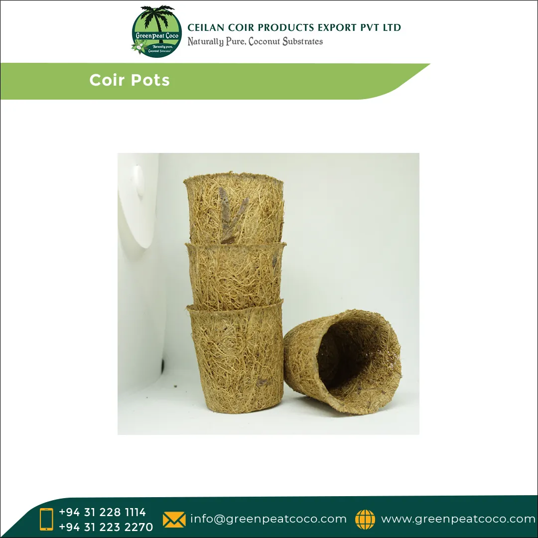 100% Natural Coir and Latex Made Eco friendly Cocopeat Coir Fiber Pots for Gardening Farming at Best Competitive Price