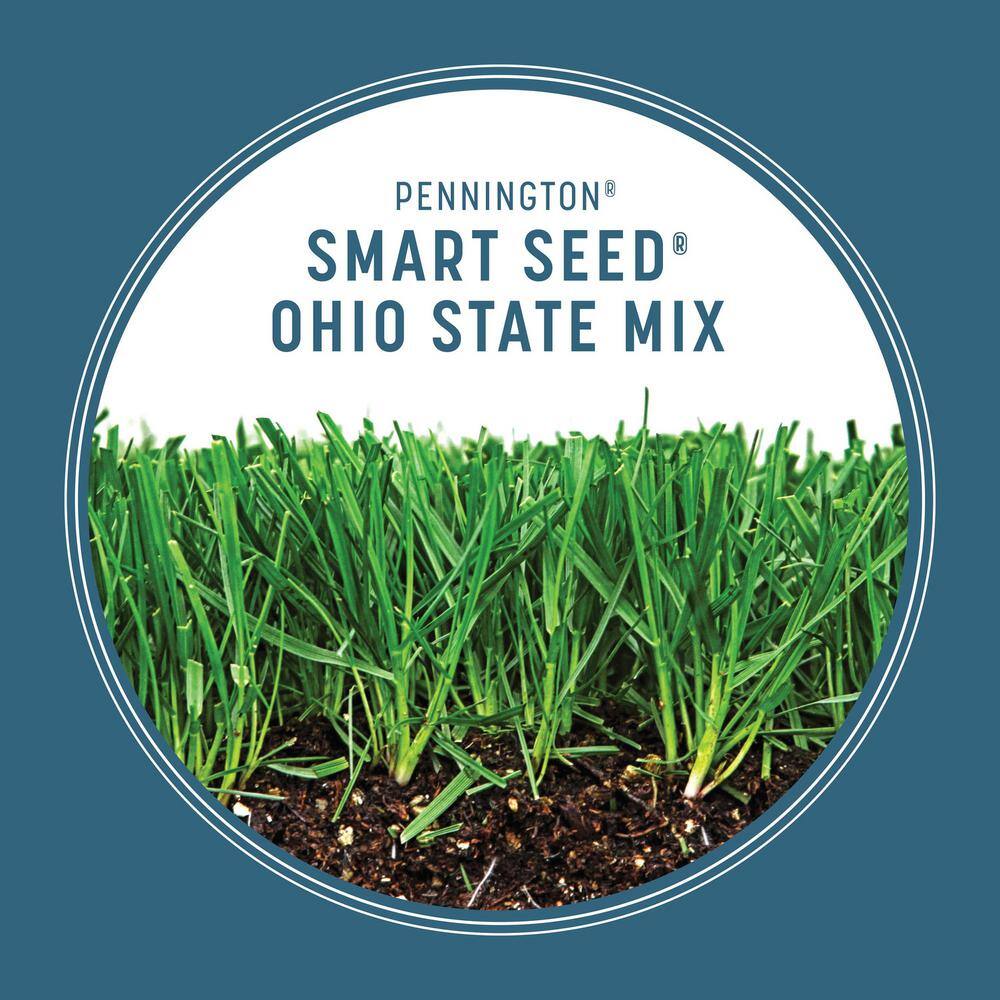 Pennington Smart Seed 20 lbs. Ohio State Grass Seed and Fertilizer 100543711