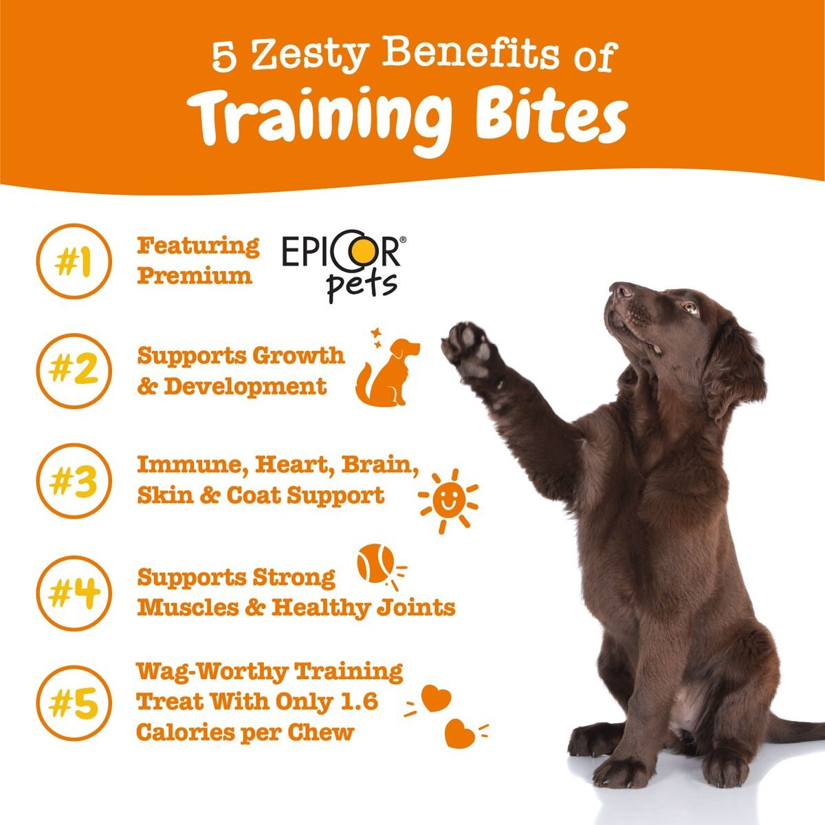 Zesty Paws All-in-One Peanut Butter Flavored Soft and Chewy Training Bites Dog Treats