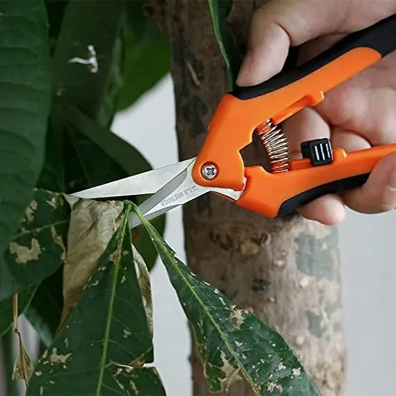 Garden Supplies Shears Pruner Secateurs Pruning Scissors Gardening Hand Tools Florist Bonsai Cutters Plant Floral Snips