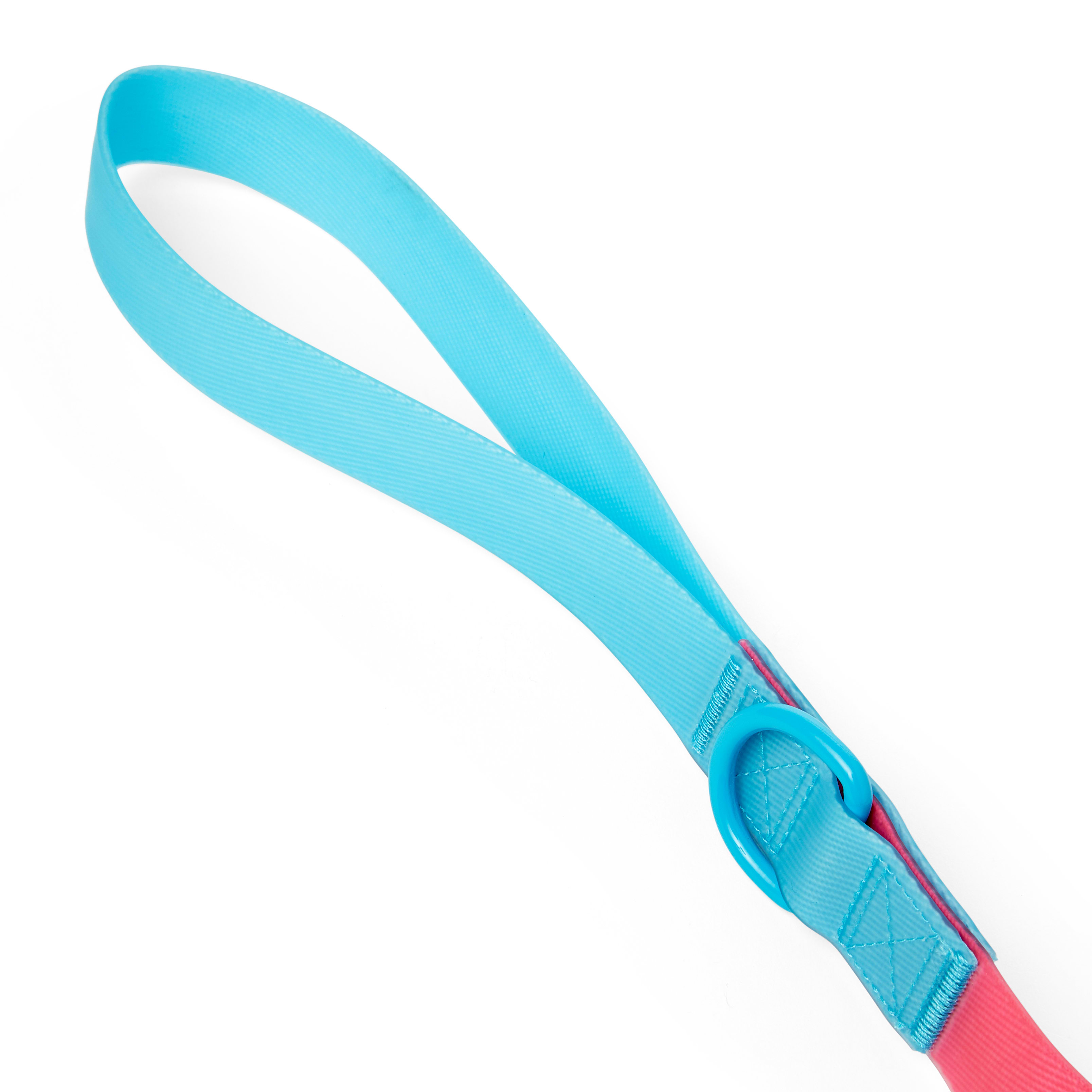 YOULY The Extrovert Water-Resistant Pink  Blue Colorblocked Dog Leash， 6 ft.