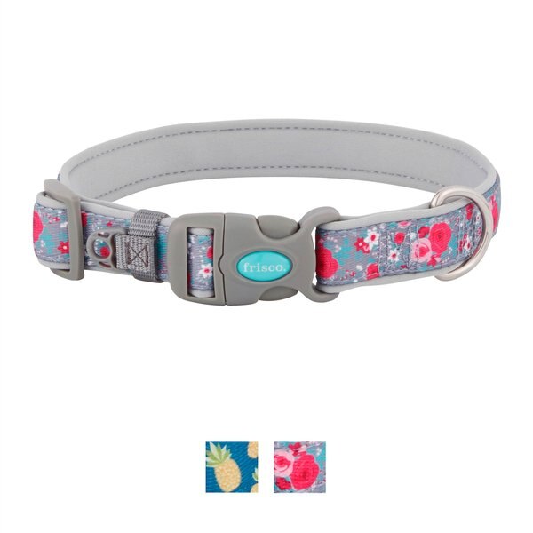 Frisco Patterned Neoprene Dog Collar