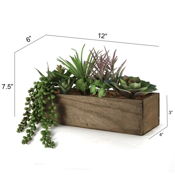 Boxed Artificial Succulent Arrangement x 6