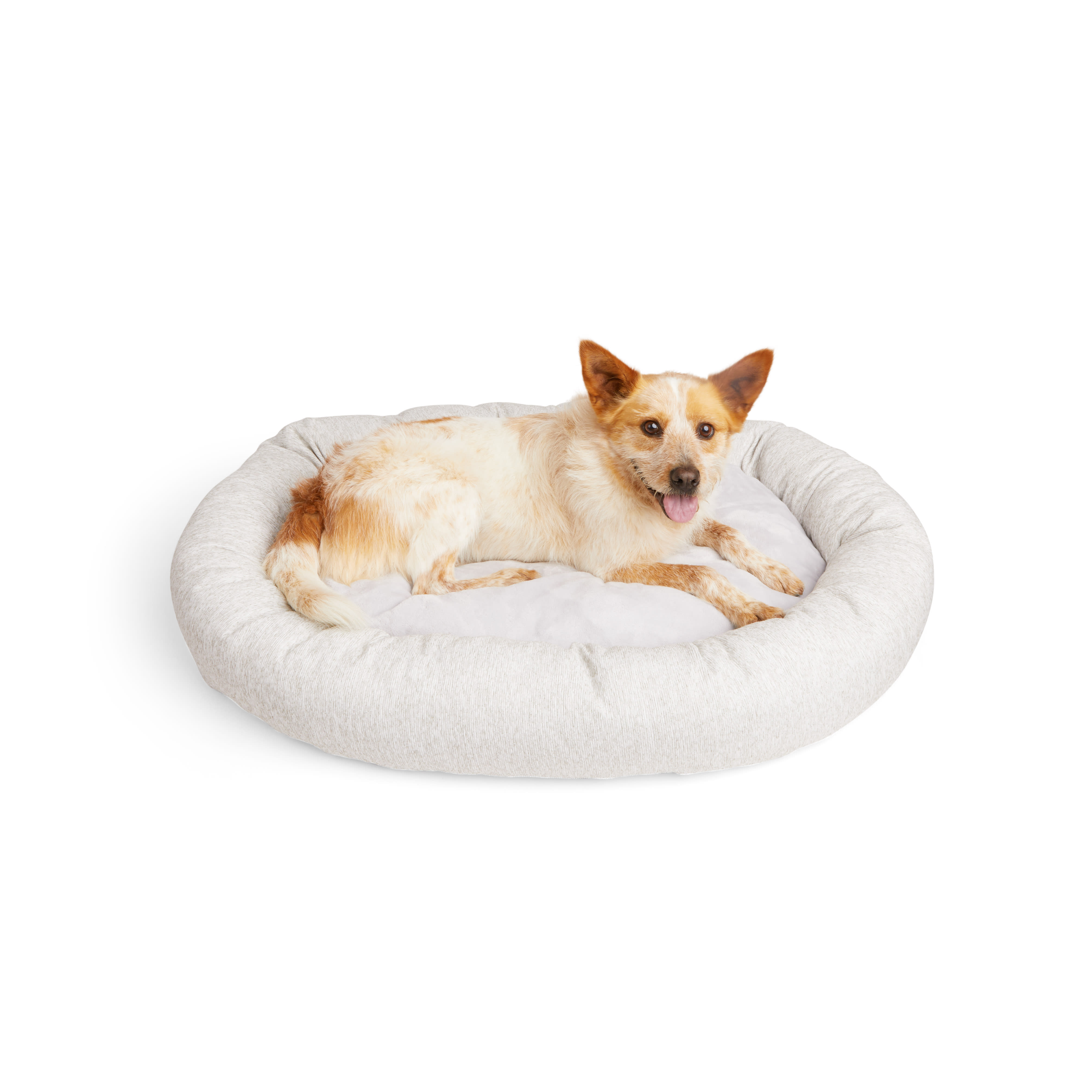 EveryYay Essentials Melange Oval Orthopedic Dog Bed， 40