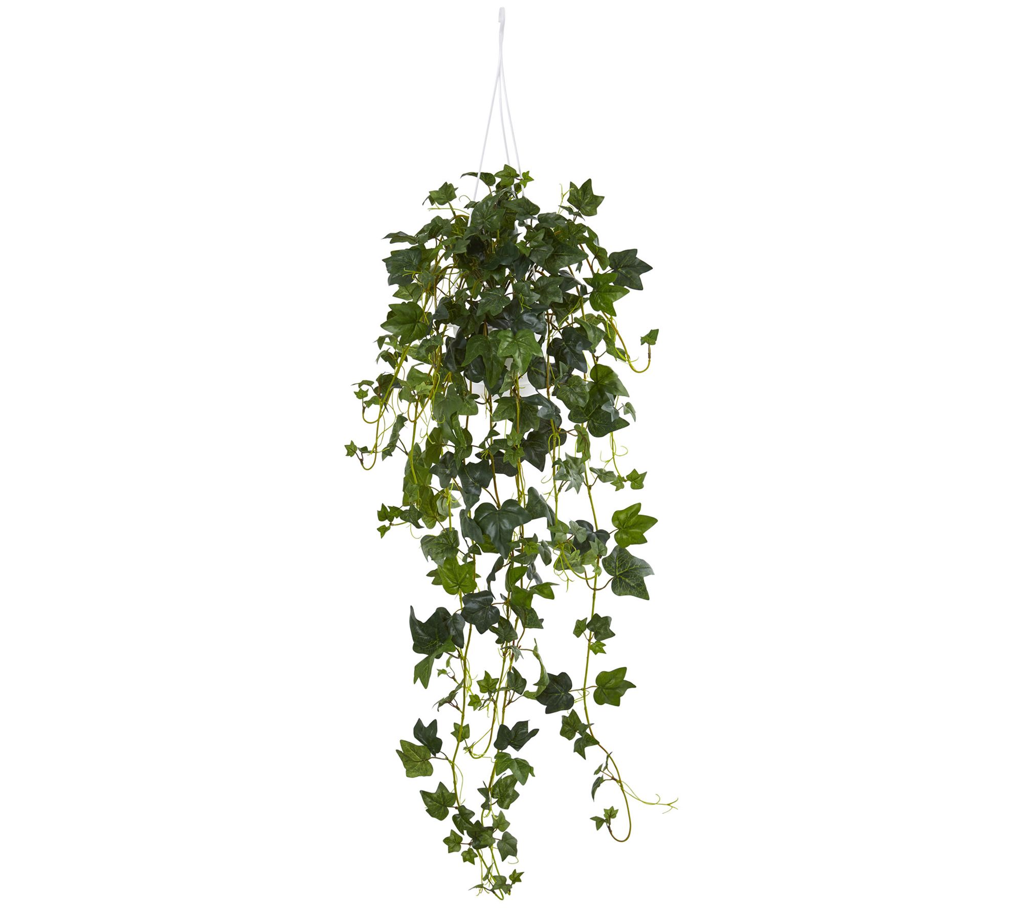 English Ivy Hanging Potted Plant by Nearly Natural