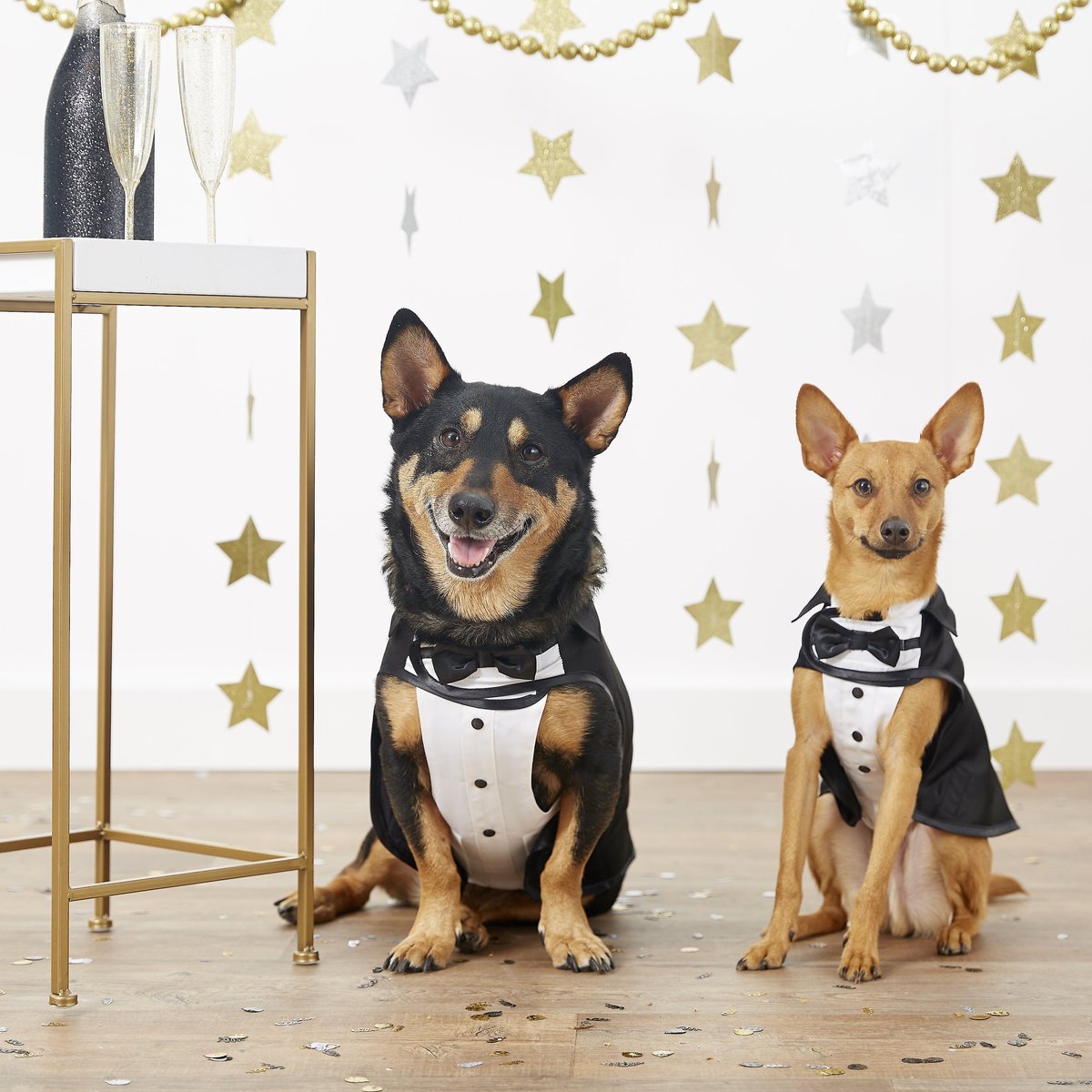 Frisco Formal Dog and Cat Tuxedo， Black