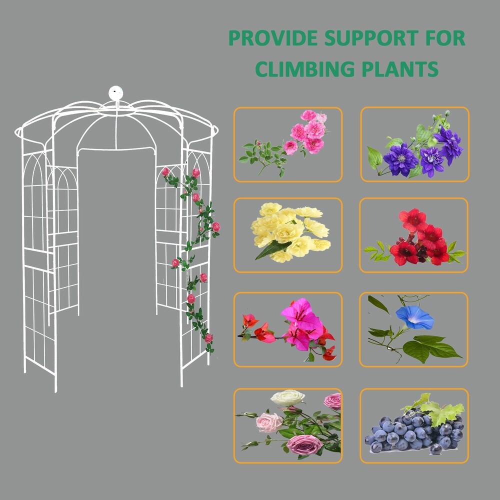 JASIWAY Iron Birdcage Shape Garden Arbors Gazebo  White