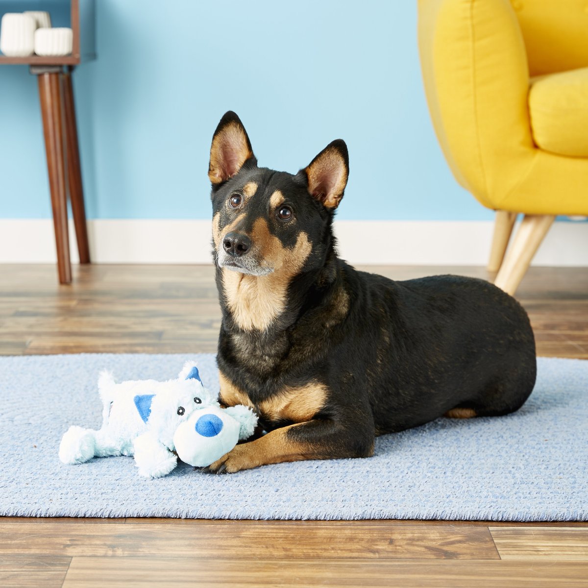 KONG Cozie Baily the Blue Dog Toy