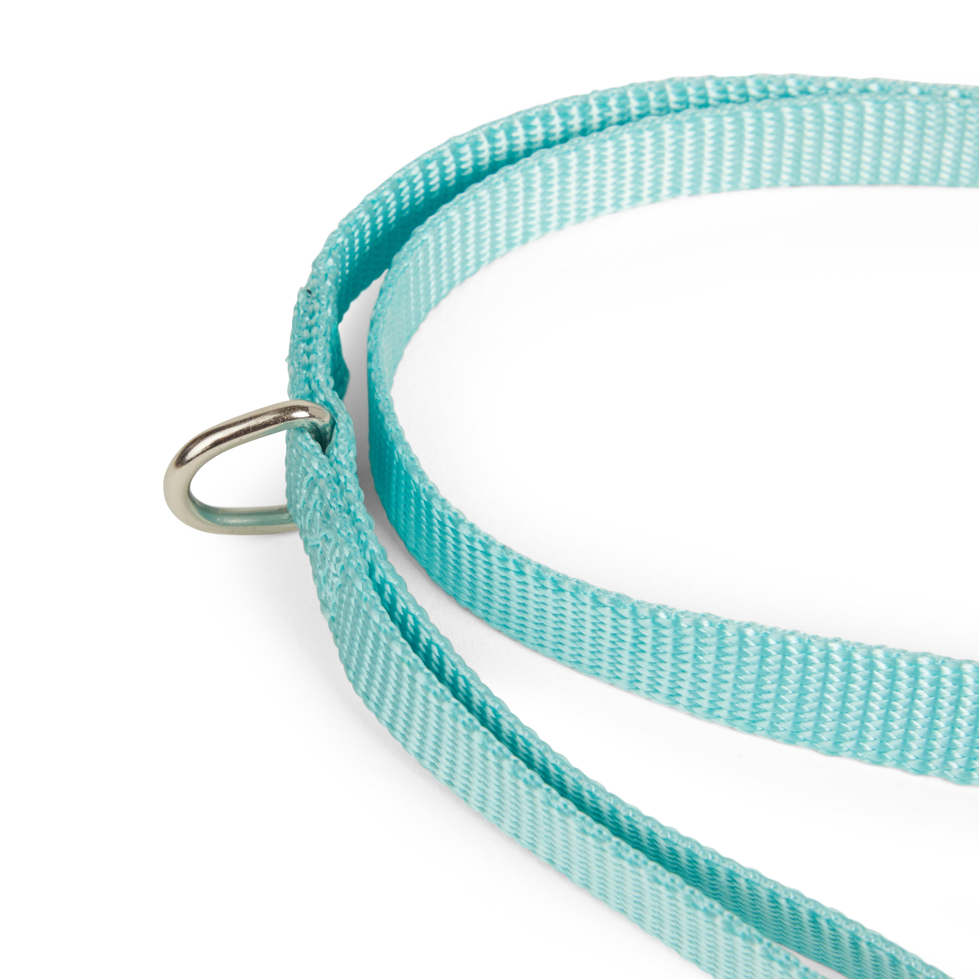 YOULY Turquoise Dog Lead， 6 ft.， X-Small