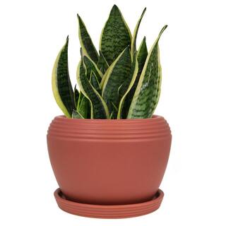 Trendspot 8 in. Faye Brick Red Ceramic Planter ECR01876S-08R