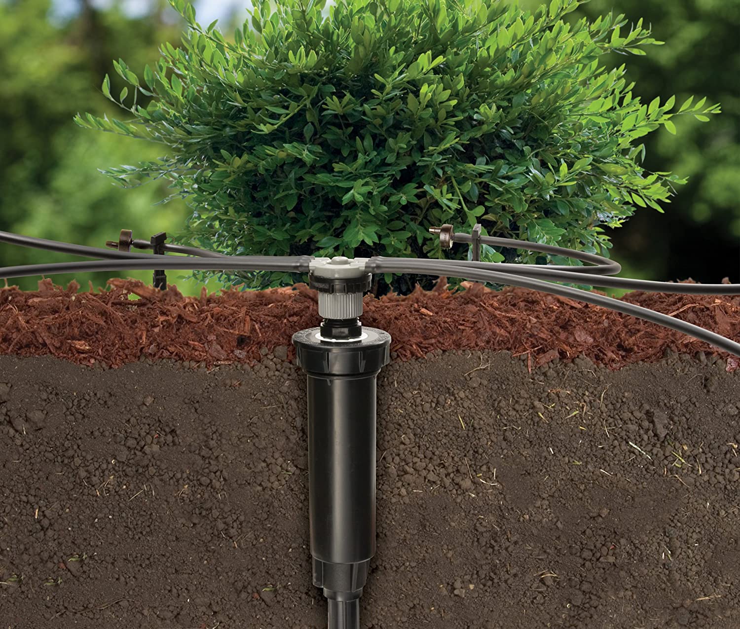 Rain Bird CNV182EMS CNV182EMT Drip Irrigation Sprinkler Conversion Kit， 1800 Series Pop-Up to 6 Emitters， Blacks